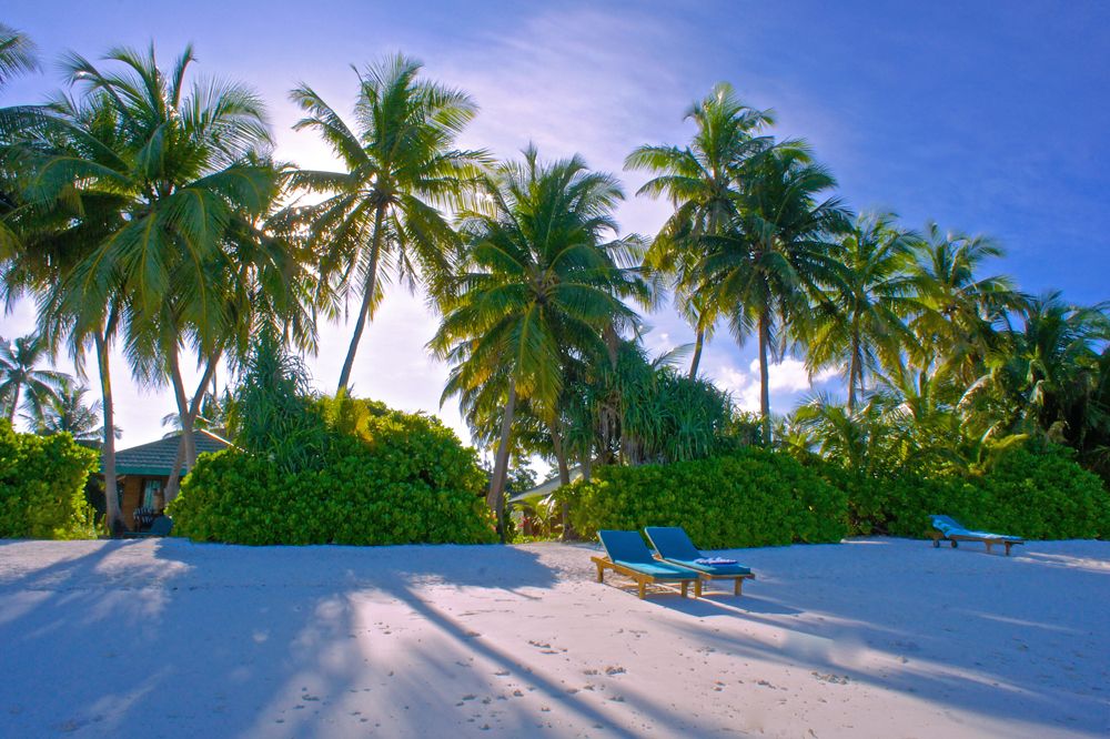 Canareef Island Resort - Strand