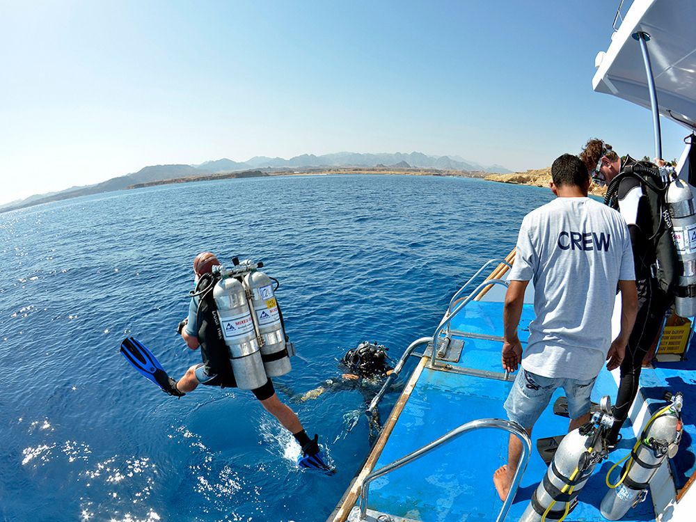 Camel Dive Club - Einstieg