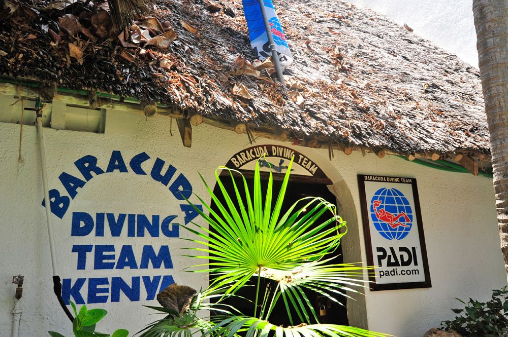 Baracuda Diving Kenya Tauchreise Kenia Aqua Active Agency
