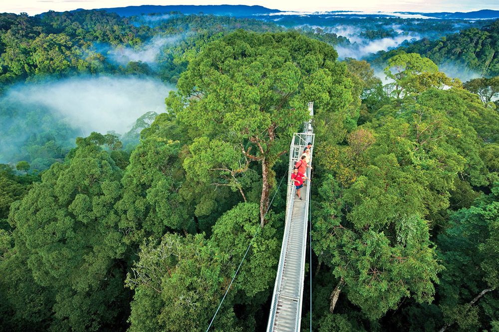 Costa Rica - Monteverde