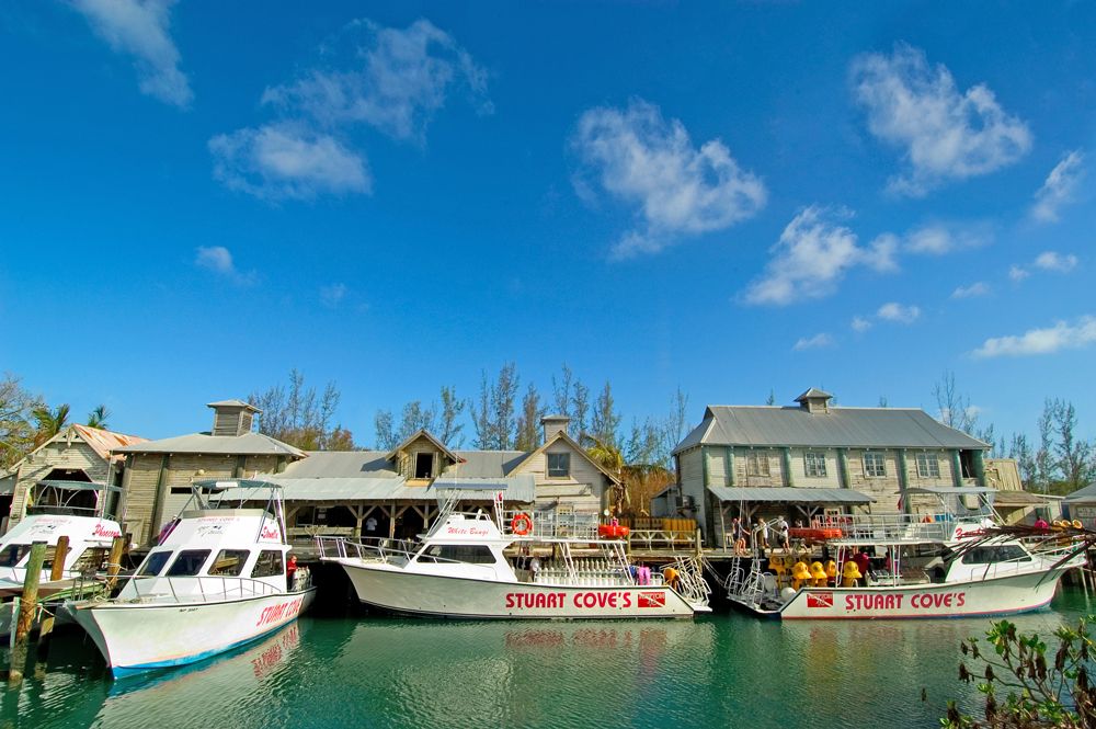 Stuart Cove's - Boote