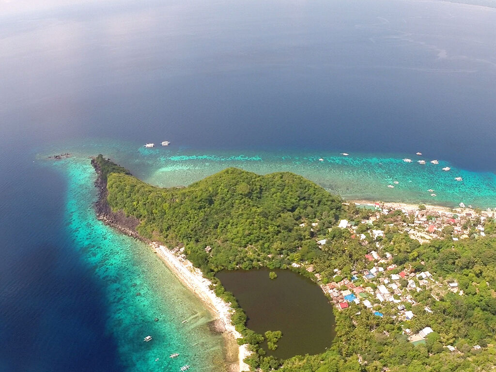 Apo Island, Negros