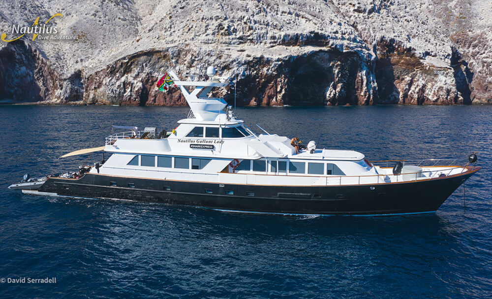 Nautilus Gallant Lady