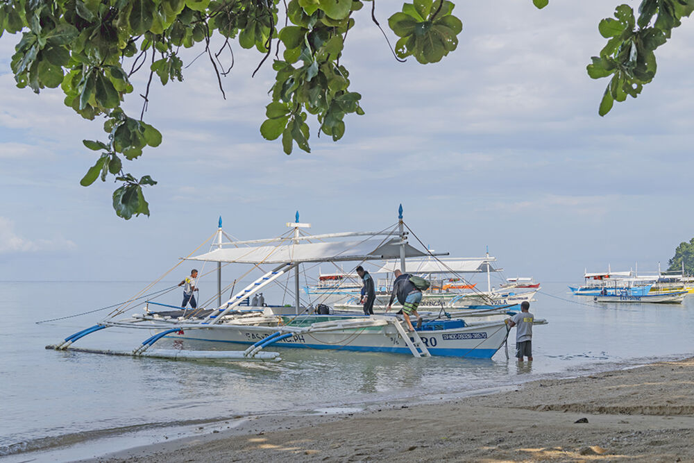 Easy Diving Sipalay