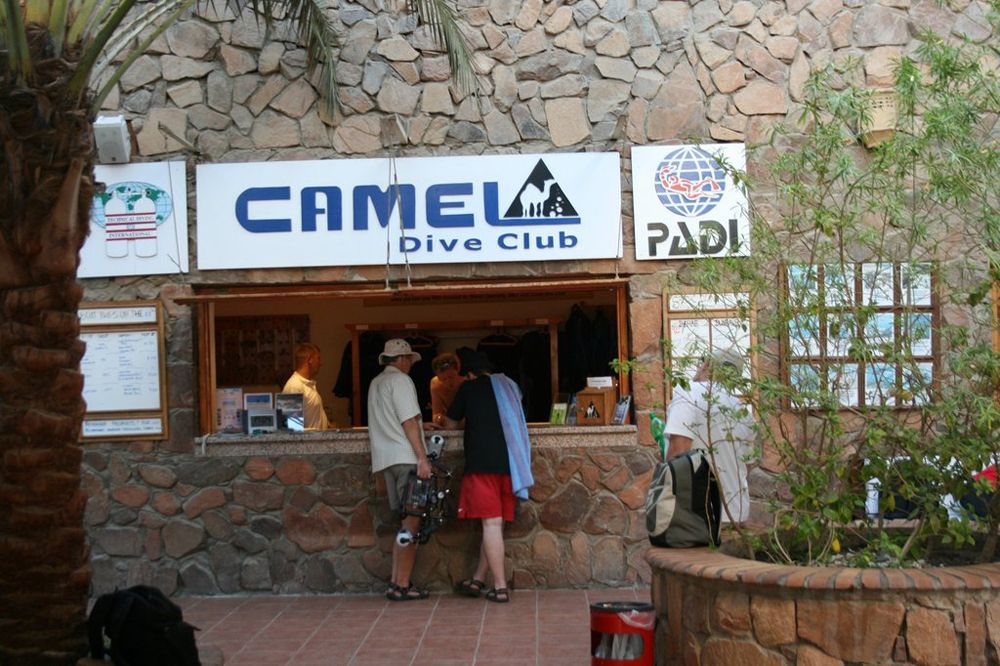Camel Dive Club - Counter