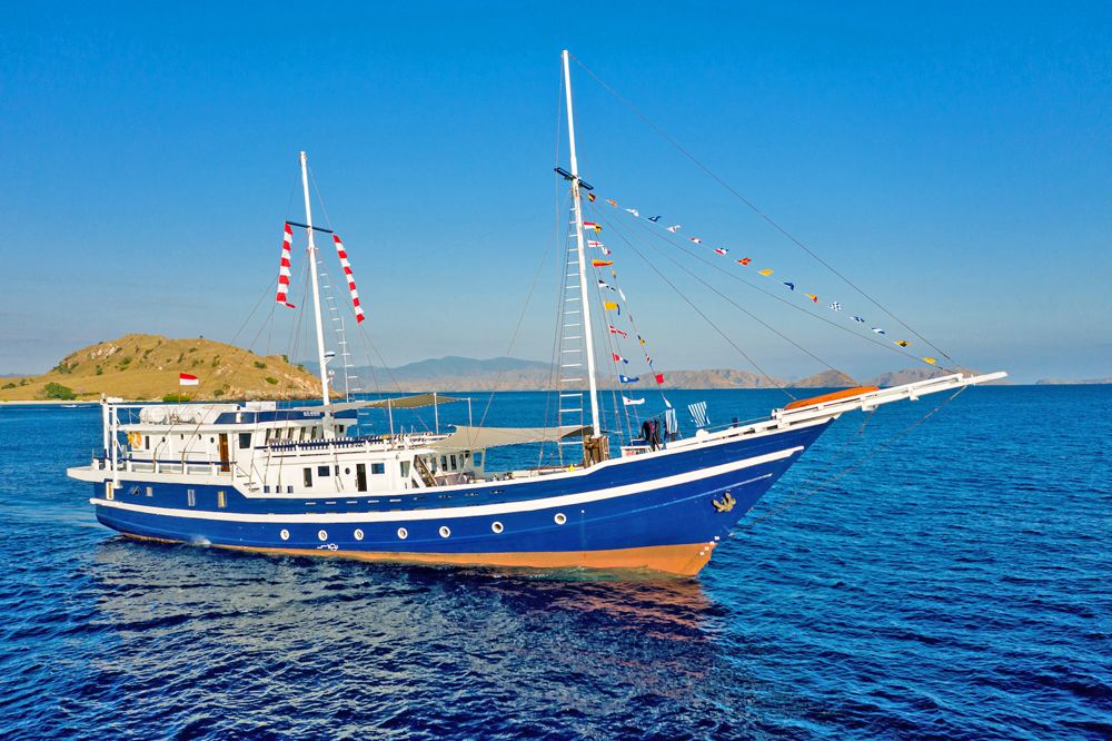 SY Seahorse