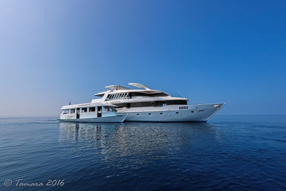 MV Amba