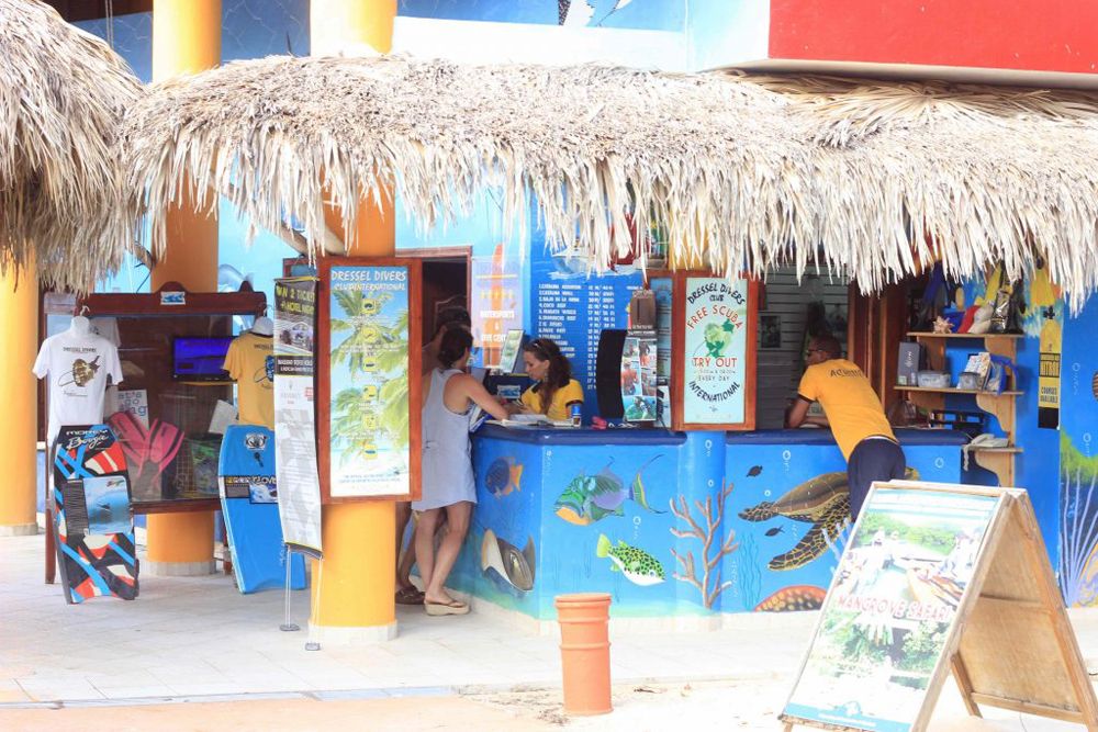 Dressel Divers Bayahibe