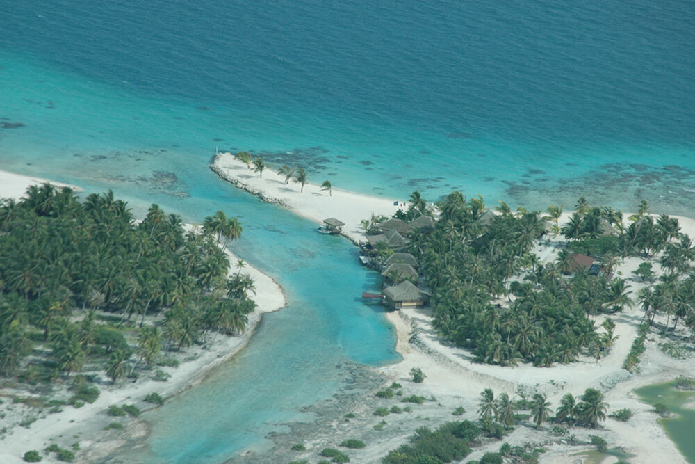 Pension Relais Royal - Areal