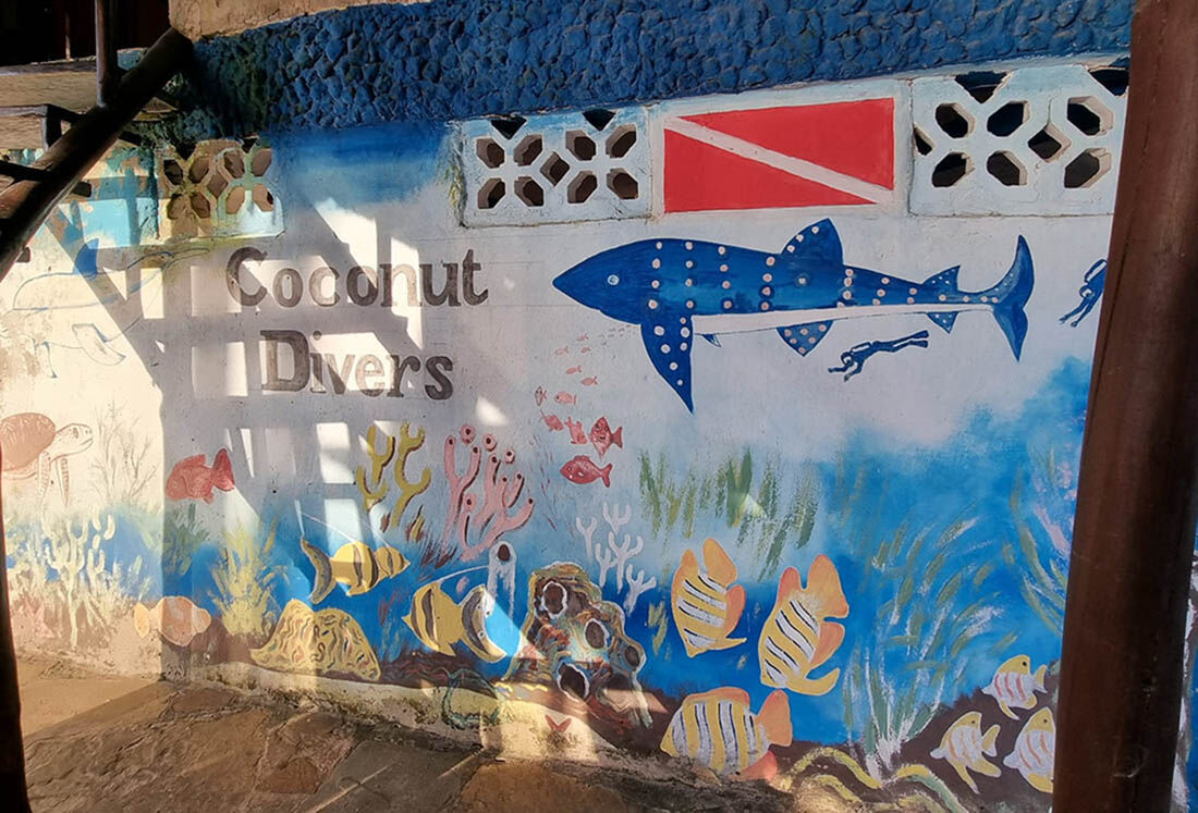 Coconut Divers