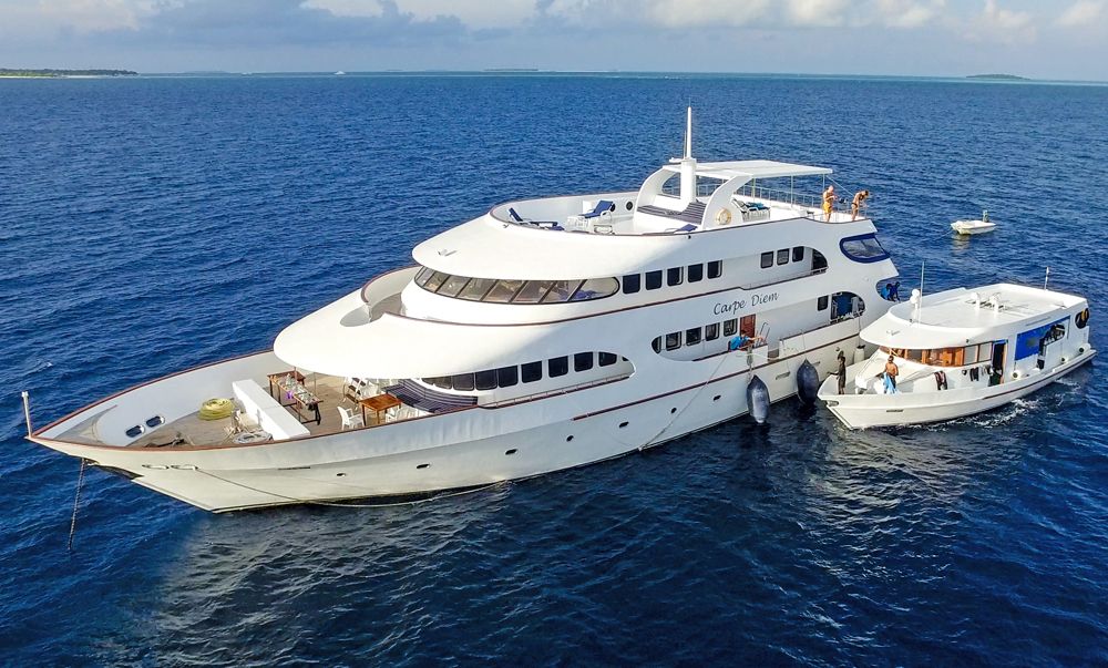 MV Carpe Diem mit Dhoni