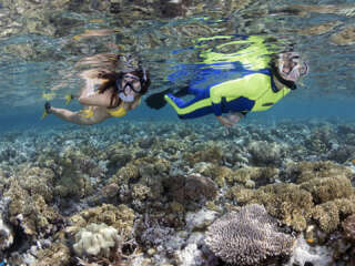Wakatobi Divecenter
