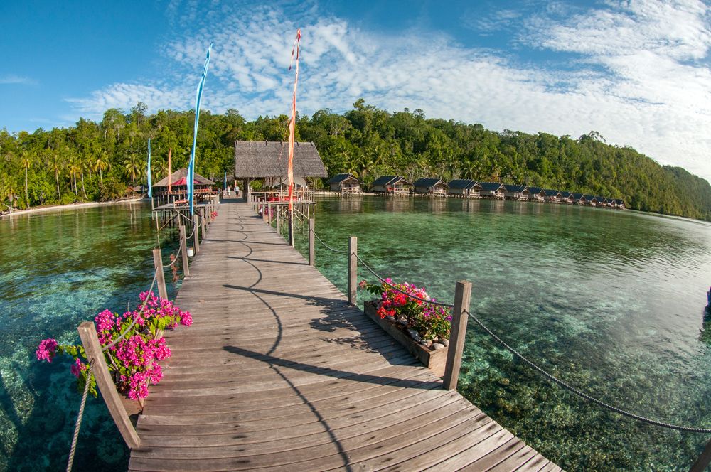 Papua Explorers Resort - Steg