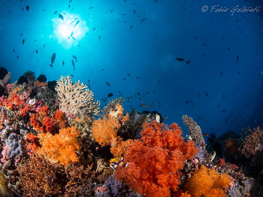 Coral Eye Diving Center
