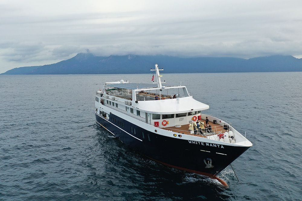 White Manta Explorer
