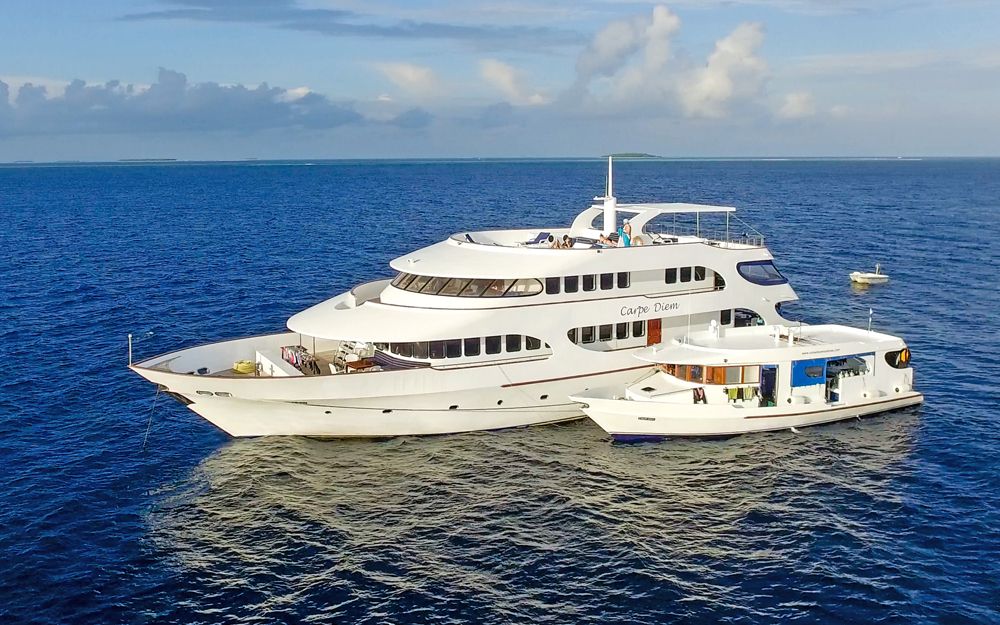 MV Carpe Diem