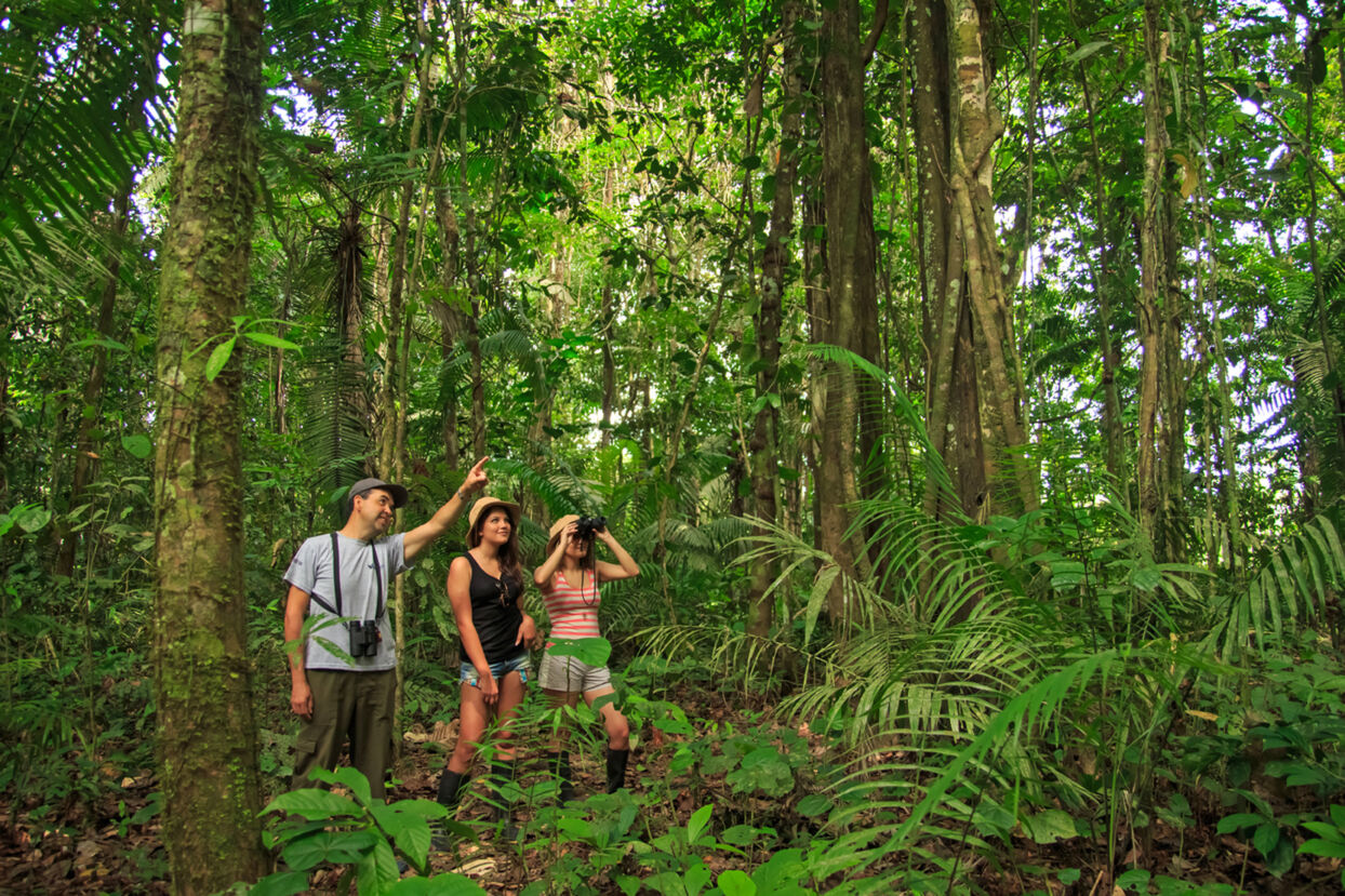 6 Tage Ecuador - Natur Pur