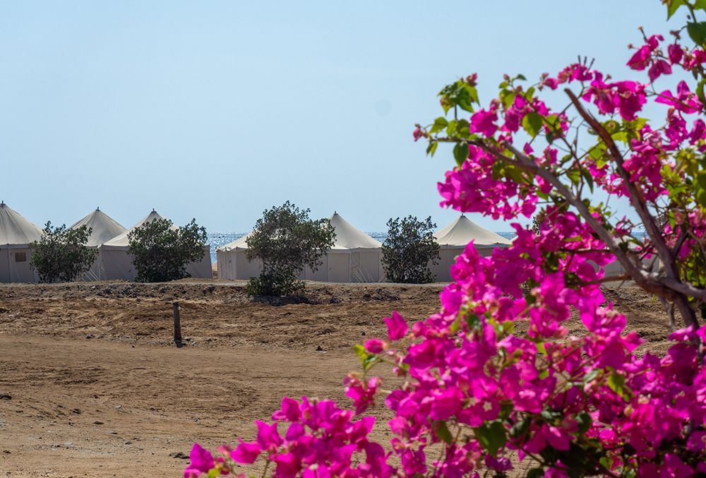 Ecolodge Wadi Lahamy
