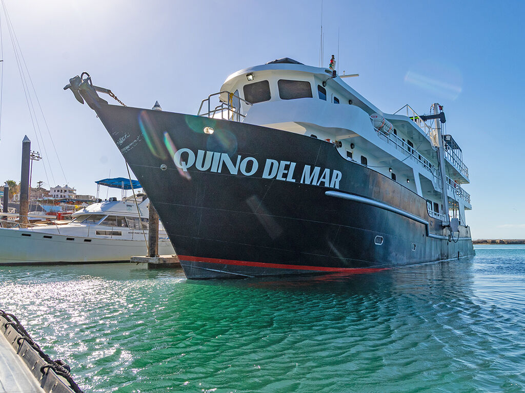 Quino del Mar