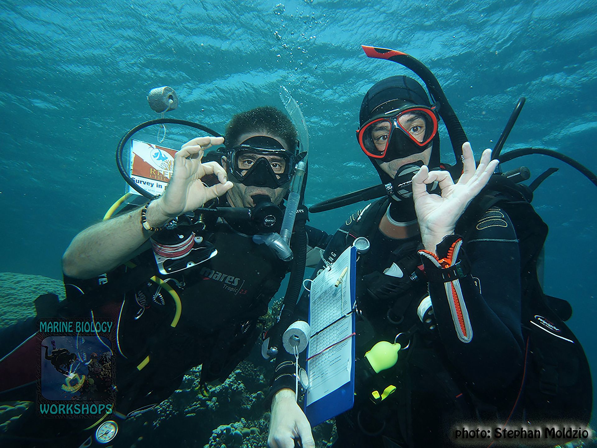 Reef Check mit Red Sea Diving Safari & Stephan Moldzio