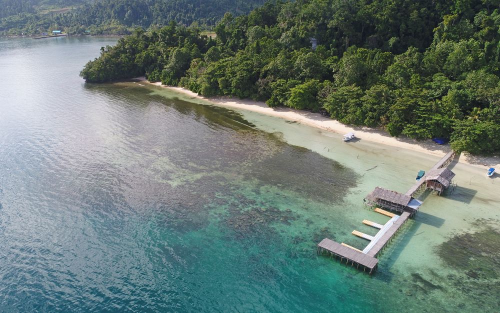into dive Raja Ampat
