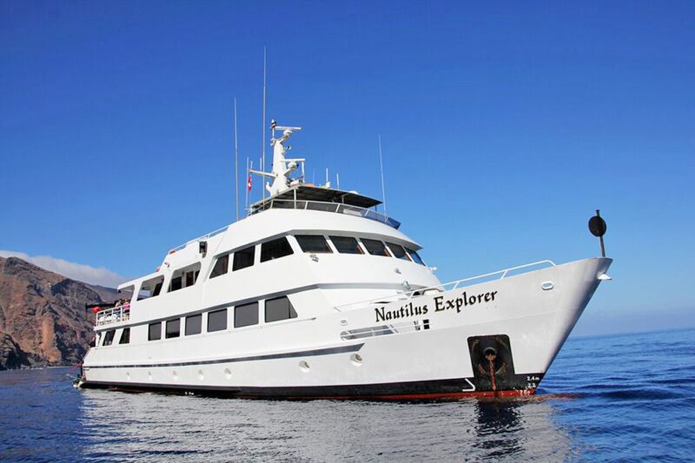 Nautilus Explorer Tauchsafari Mexiko Socorro Aqua Active Agency