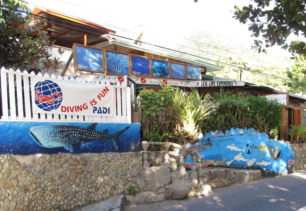 Ocean Dream Divers