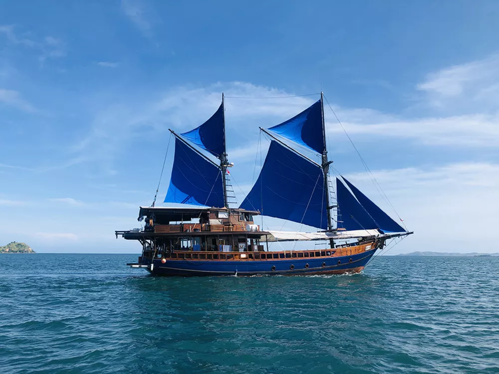 MSY  Moana