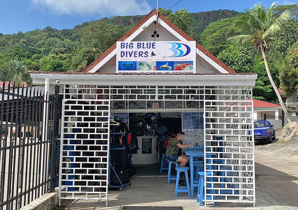 Big Blue Divers