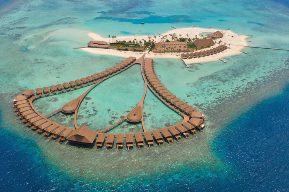 Cinnamon Velifushi