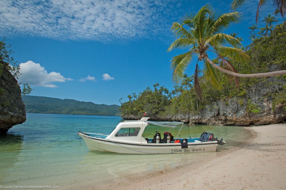 Triton Bay Divers