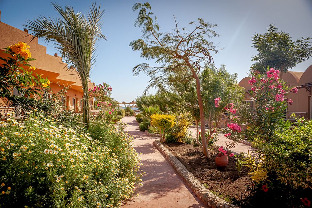 Silver Beach Red Sea Resort - Anlage