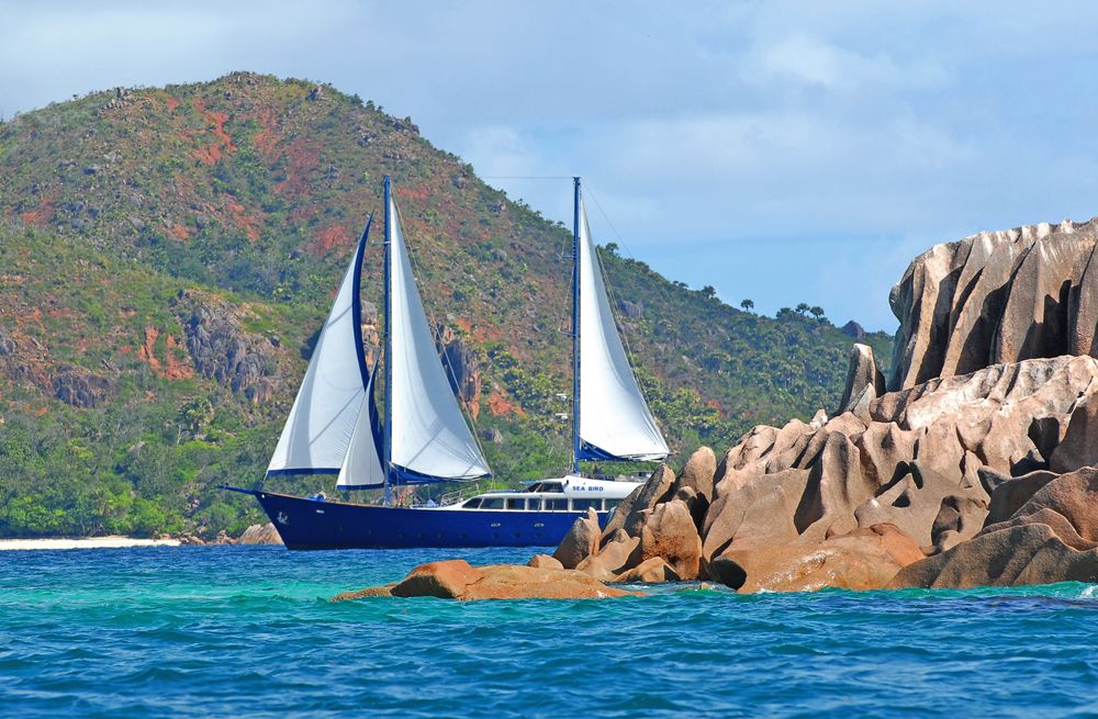 SY Sea Bird