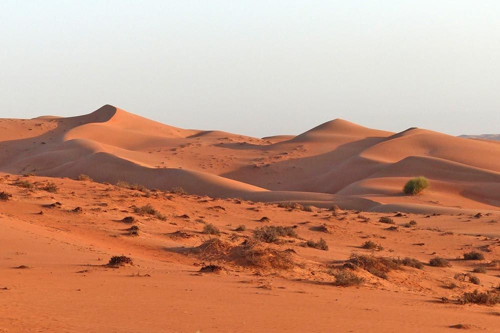 Oman -  Wüste