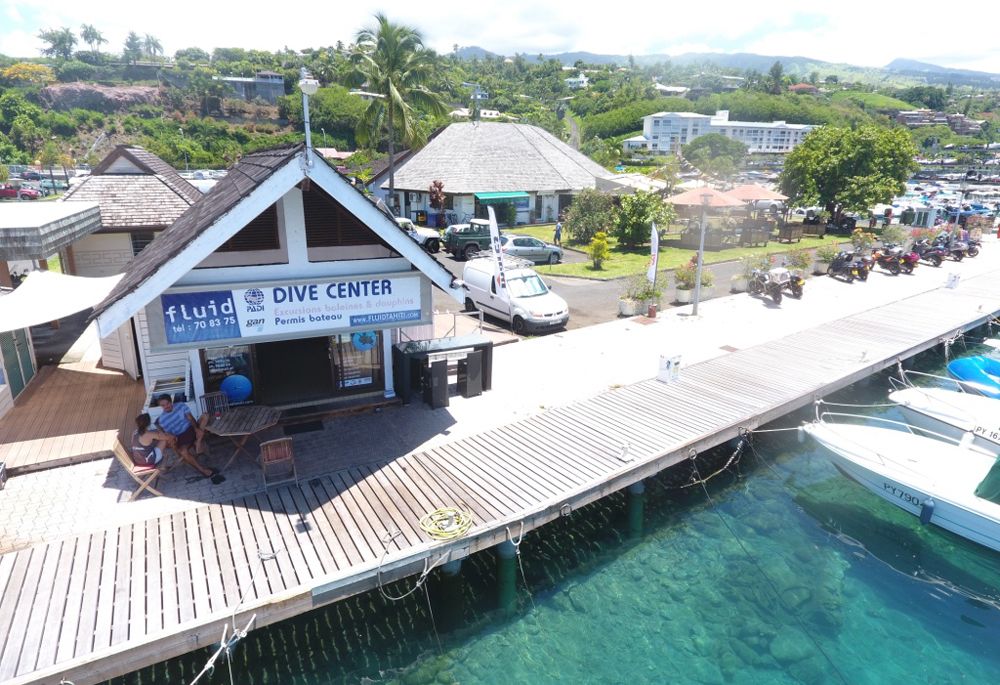 Fluid Divecenter