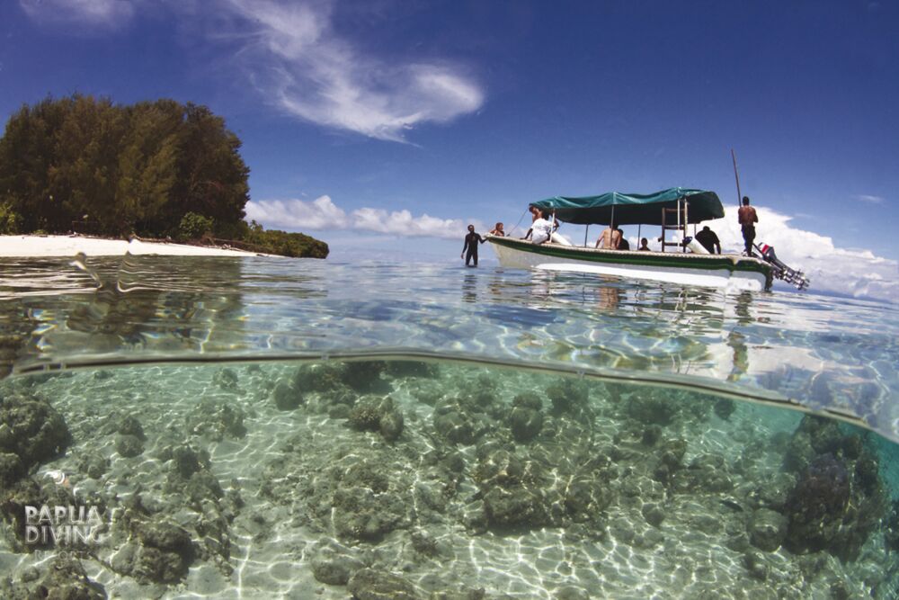Papua Diving Sorido Bay - Boot