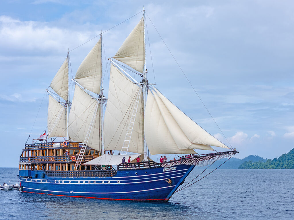 MSV  Amira