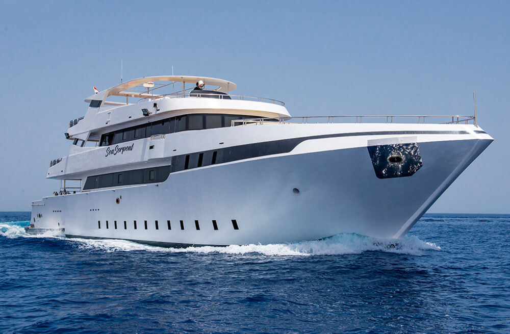 Sommer Special - Sea Serpent Flotte
