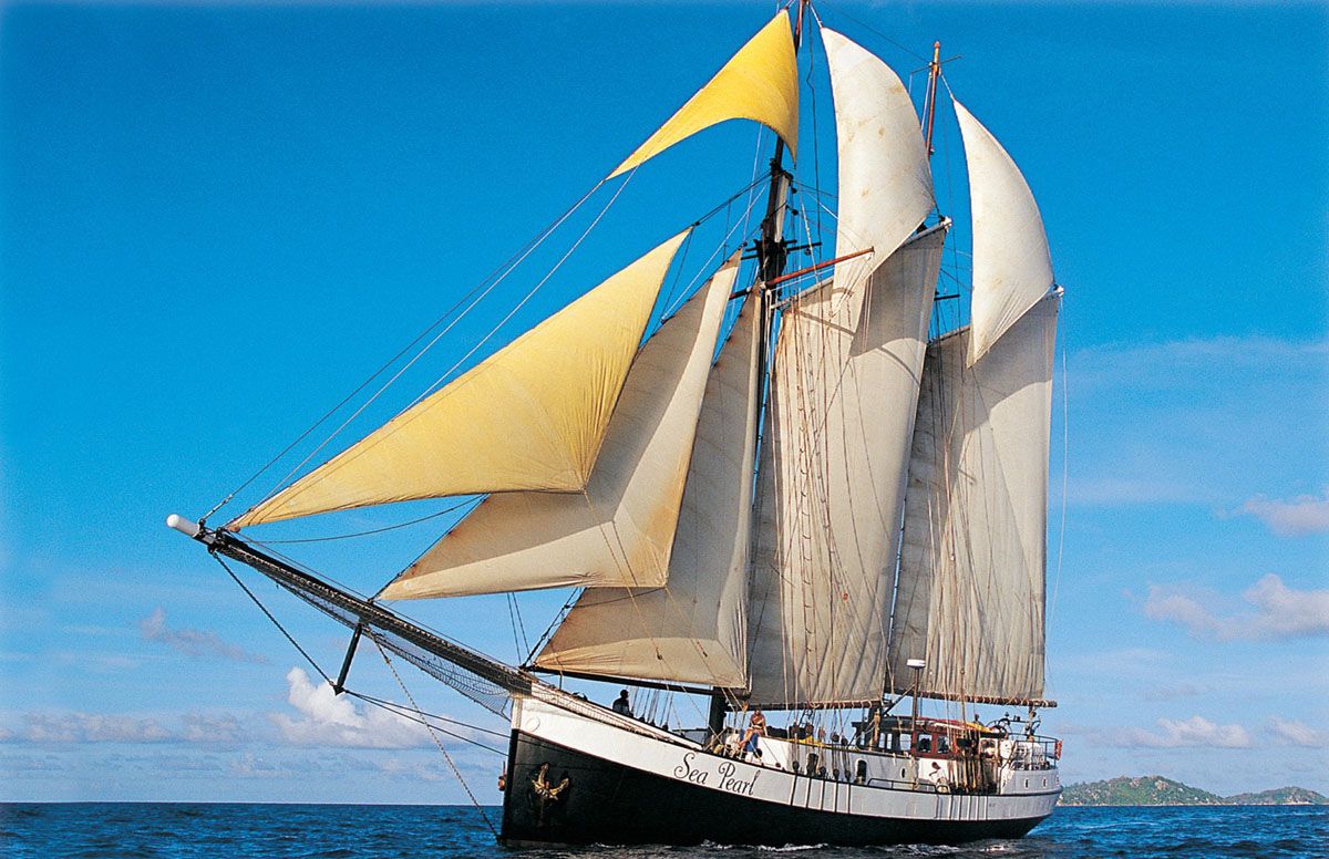 Sea Pearl