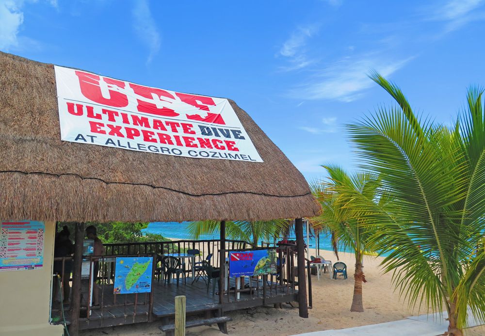 Pro Dive Allegro Cozumel Aqua Active Agency