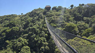 Lake Eland Game Reserve - Hängebrücke