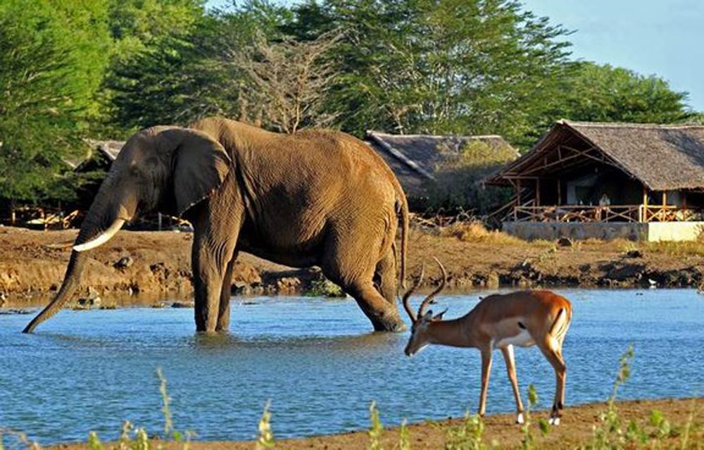 Satao Camp - Wasserloch