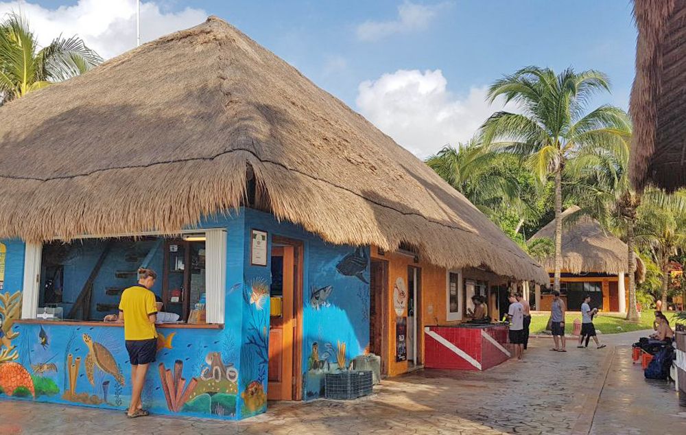 Dressel Divers - Playacar