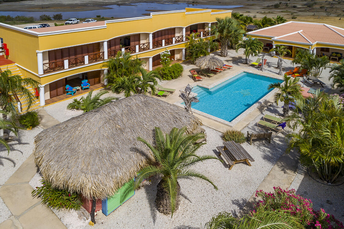 Djambo Bonaire