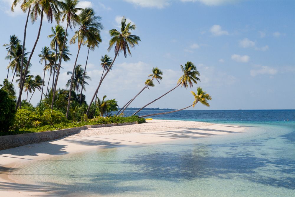 Wakatobi Dive Resort - Strand