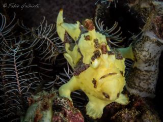 Coral Eye Diving Center