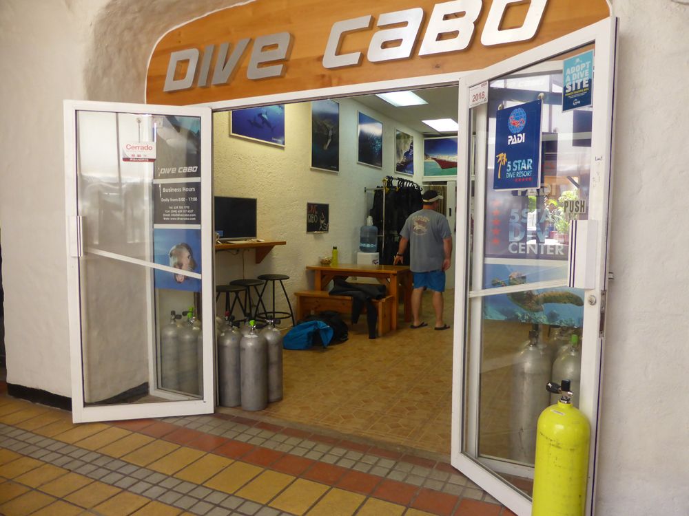 Dive Cabo