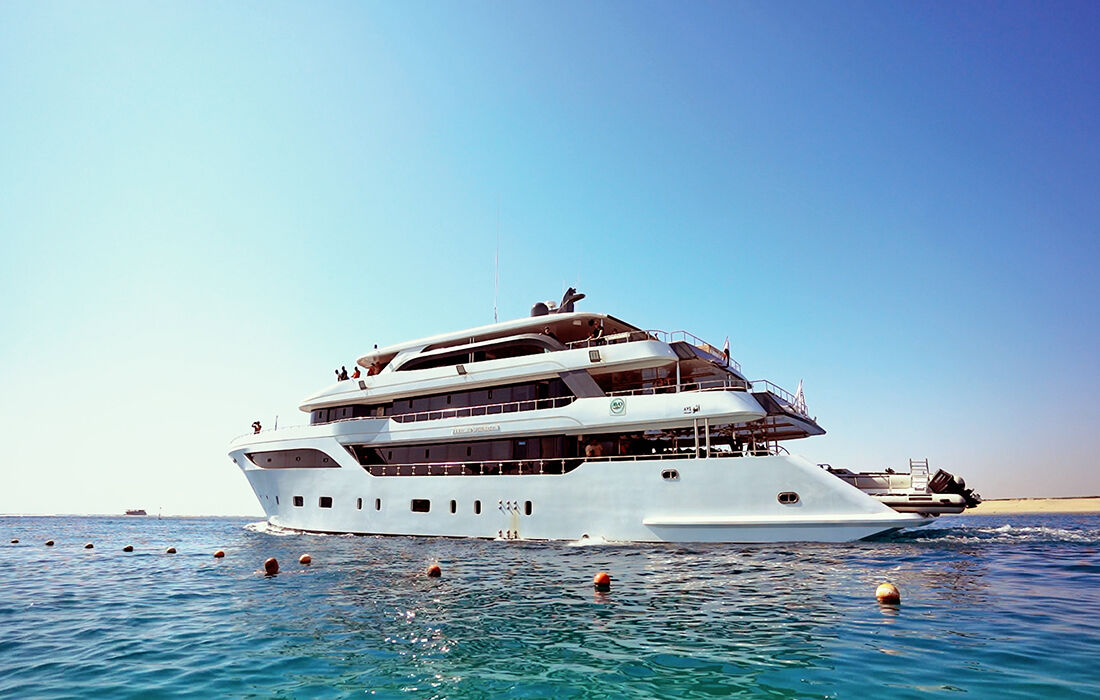 M/Y AVO - Meeresbiologie hautnah erleben