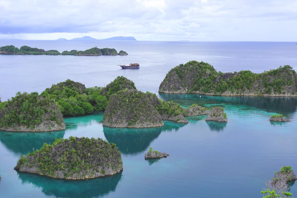 MSV  Amira - Raja Ampat