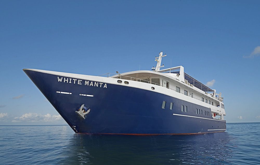 White Manta Explorer